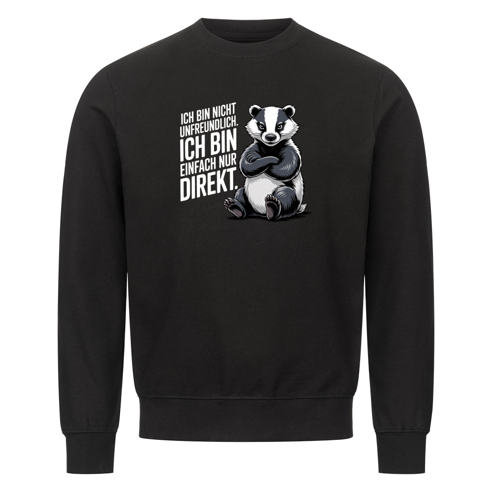 Lustiges Sweatshirt mit Spruch Ich Bin Nicht Unfreundlich, Vorderansicht