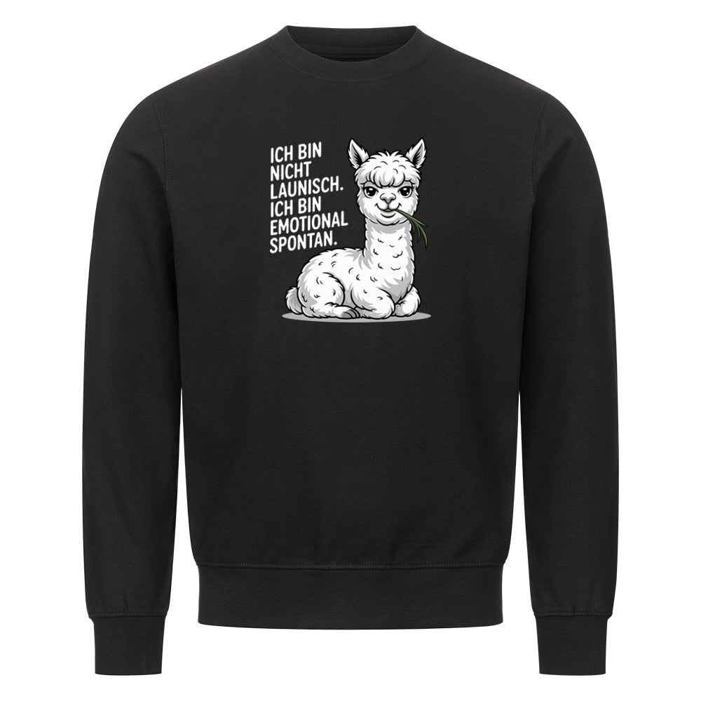 Lustiges Sweatshirt mit Spruch Emotional Spontan, Vorderansicht