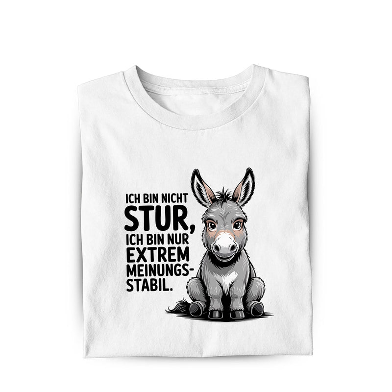 Lustiges Bio T-Shirt mit Spruch Sturer Esel, Vorderansicht