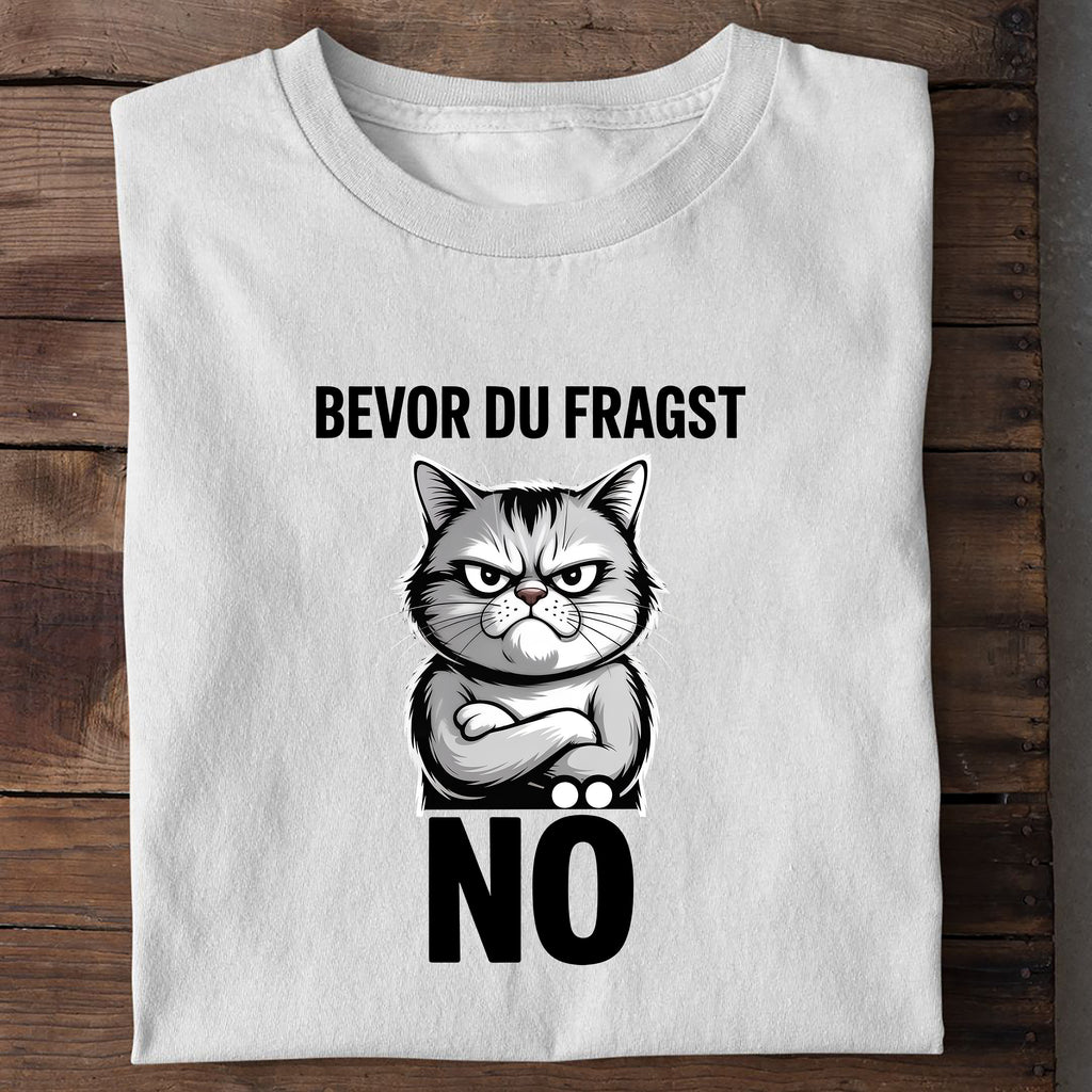 T-Shirt Bevor du fragst - Nö, Detailansicht