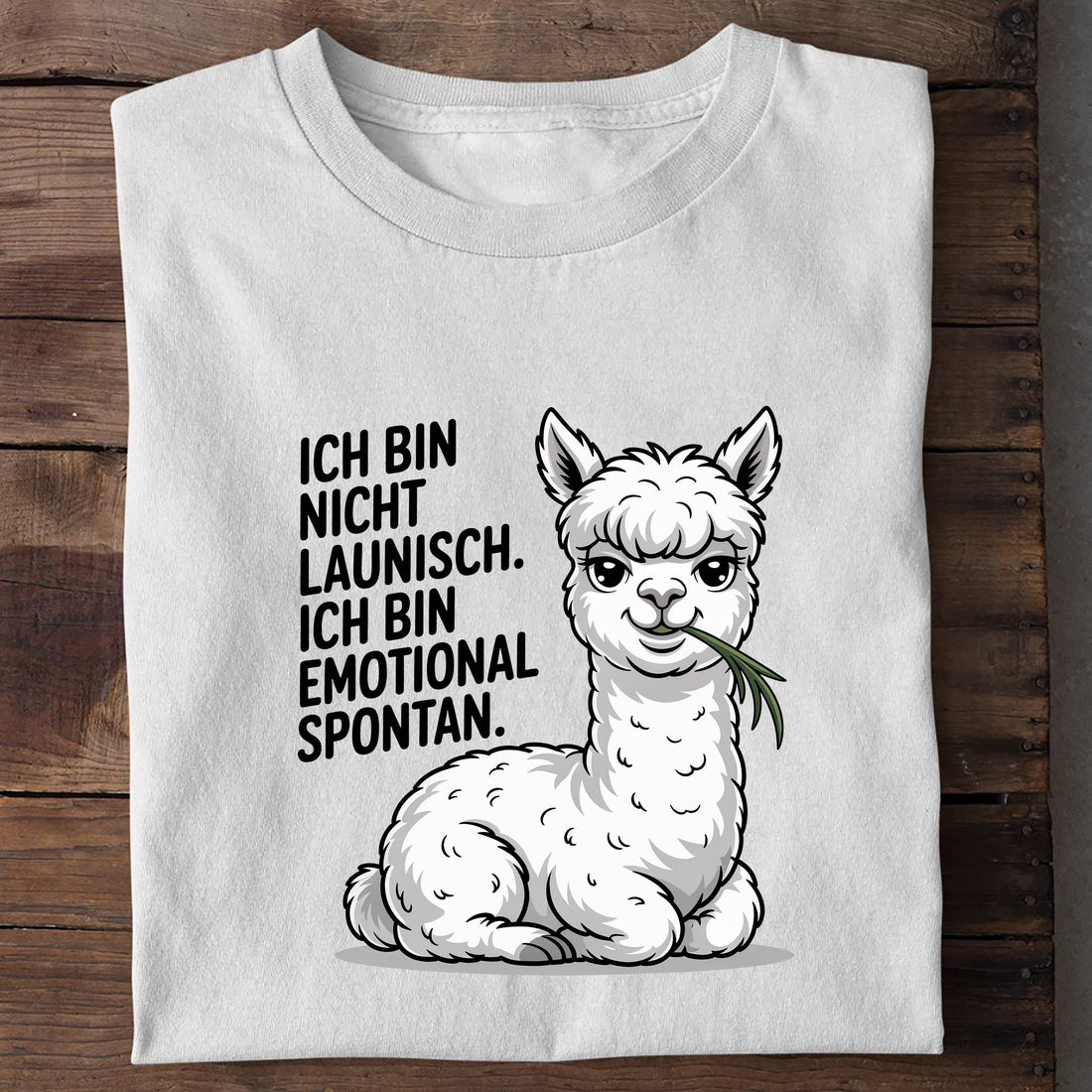 Bio T-Shirt Emotional Spontan, Detailansicht