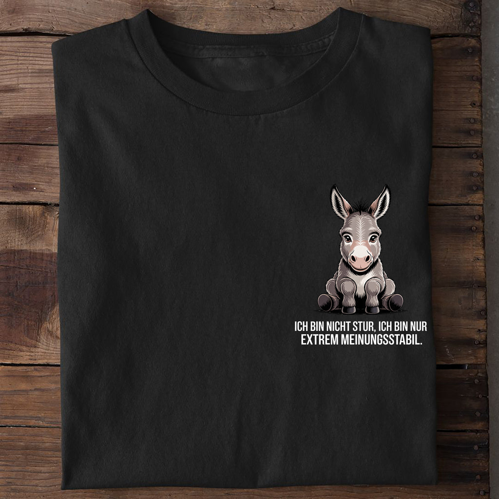 T-Shirt Stur, Motivansicht