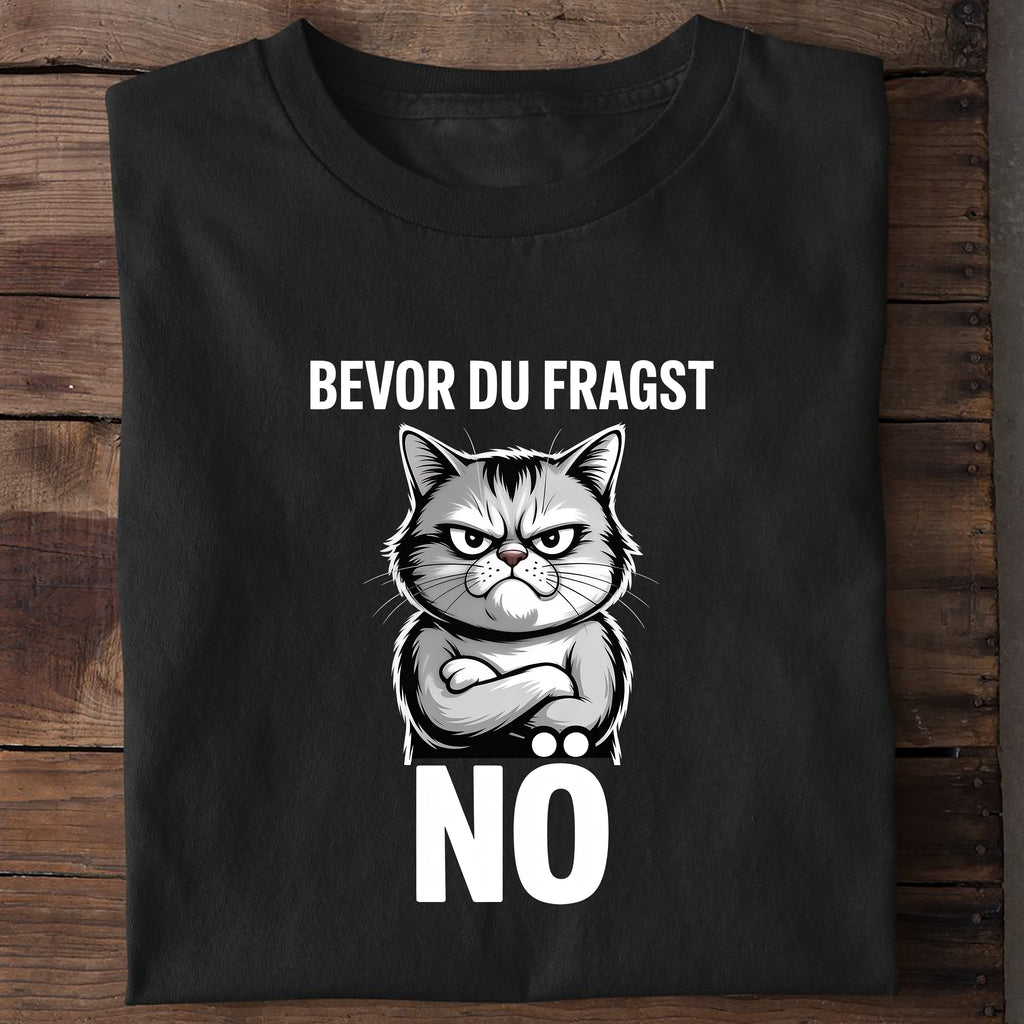 T-Shirt Bevor du fragst - Nö, getragen