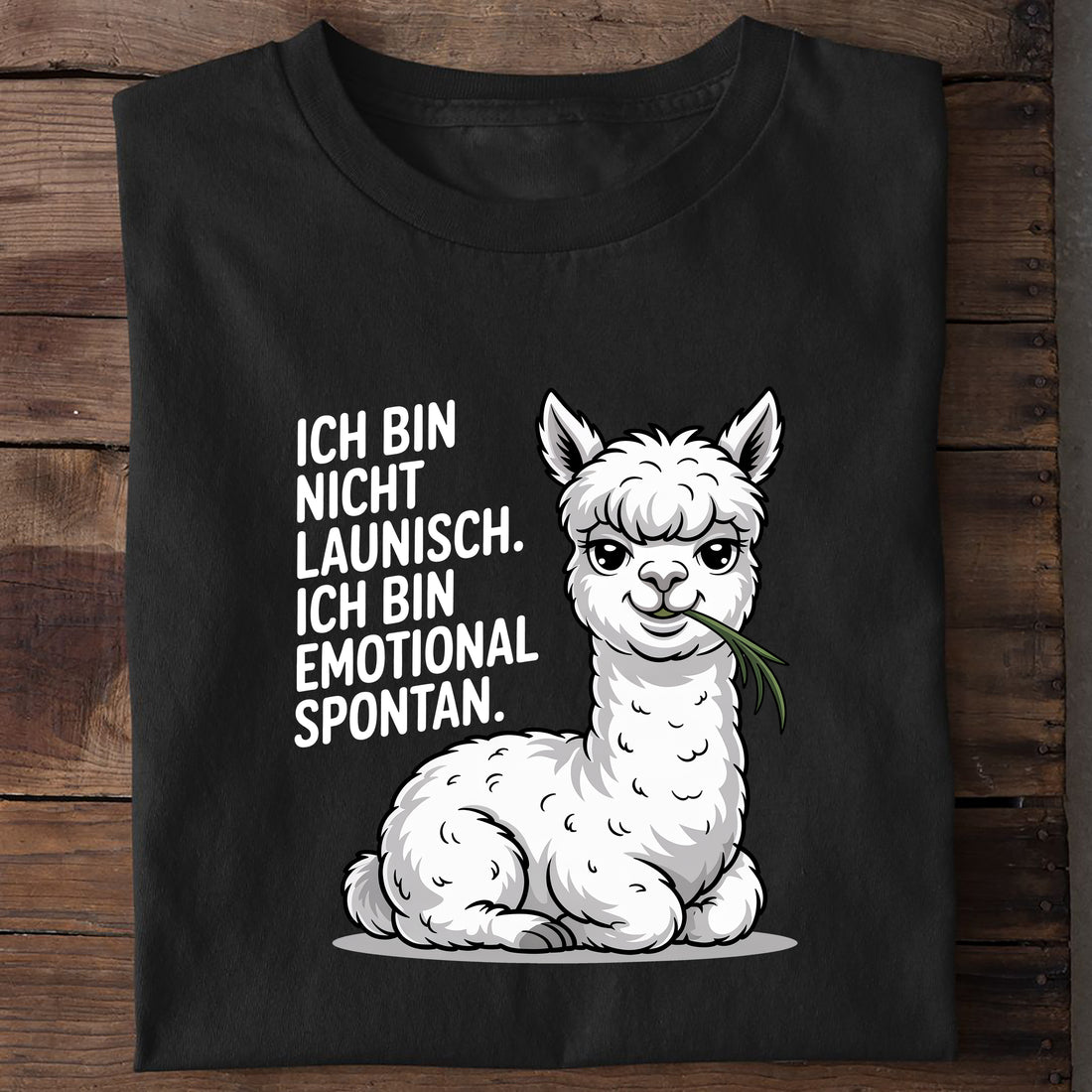 Bio T-Shirt Emotional Spontan, getragen