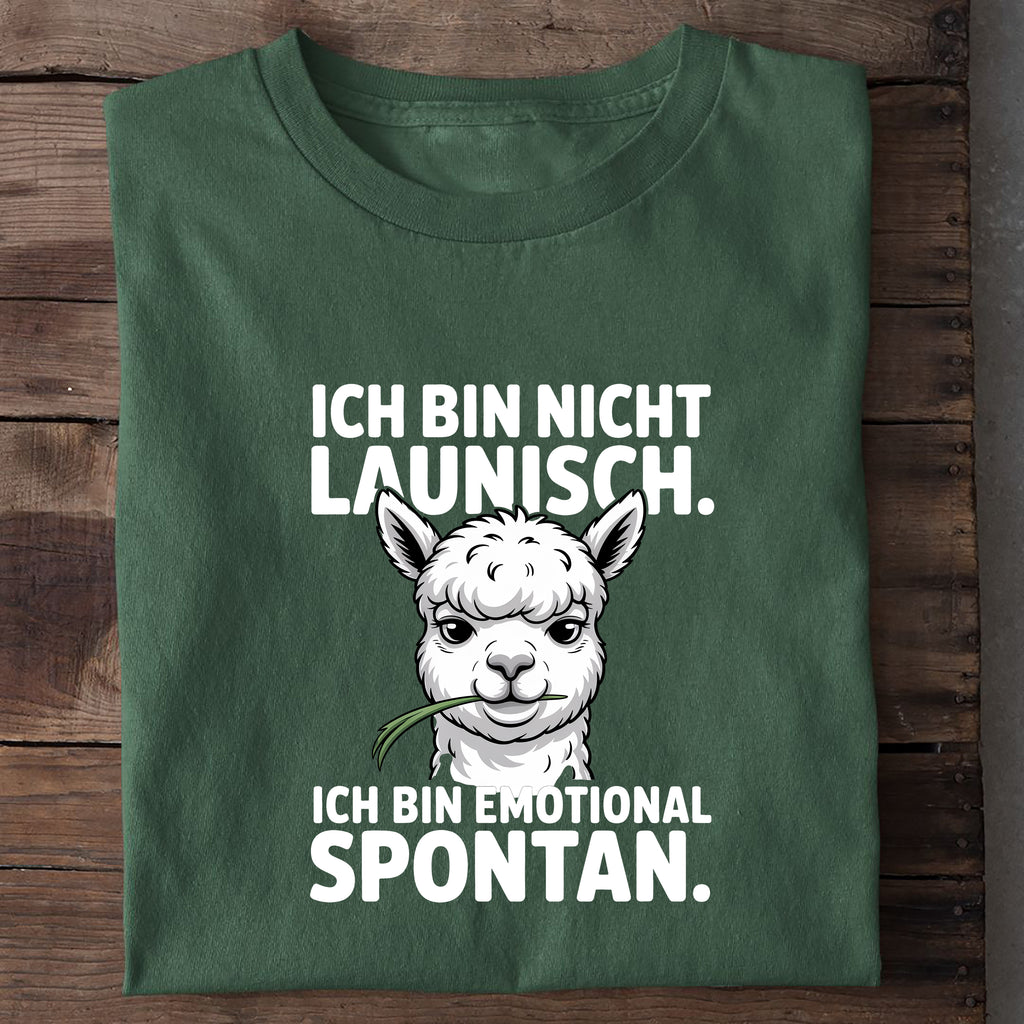 T-Shirt Ich Bin Nicht Launisch, Nahaufnahme
