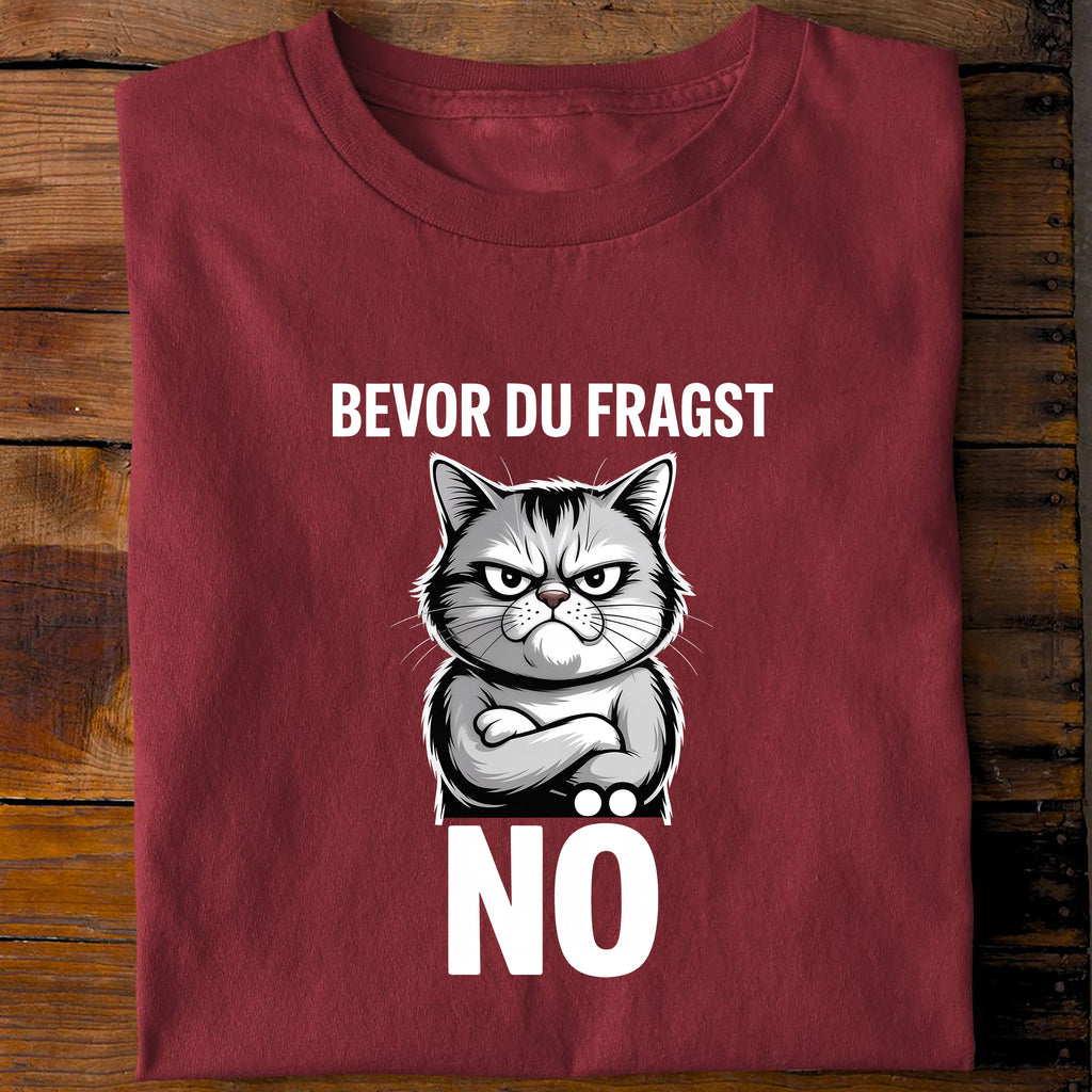 T-Shirt Bevor du fragst - Nö, Rückansicht