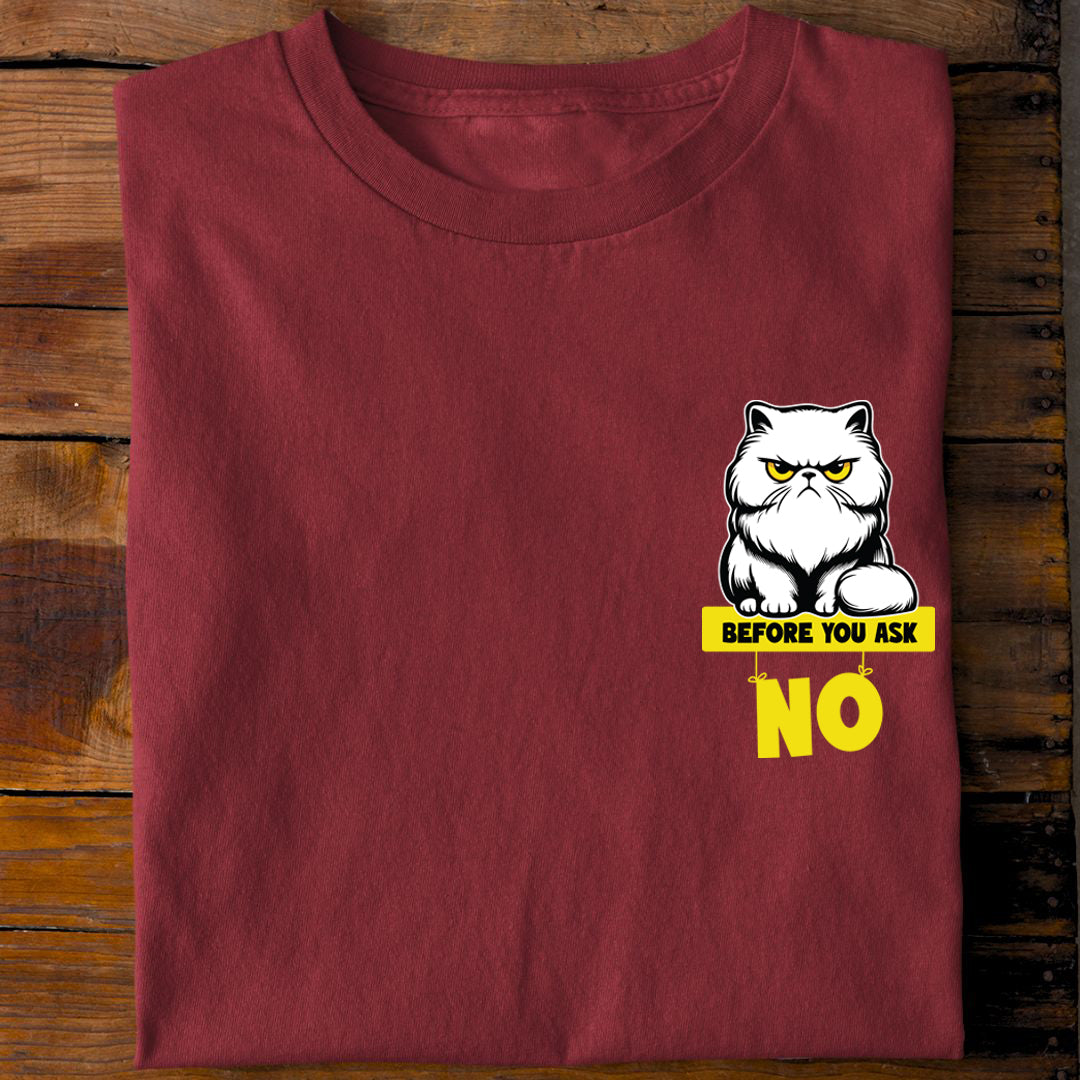 Before you Ask T-Shirt