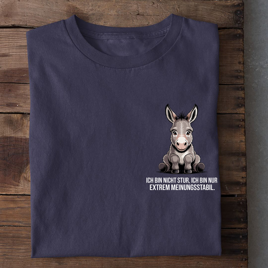 T-Shirt Stur, weitere Ansicht
