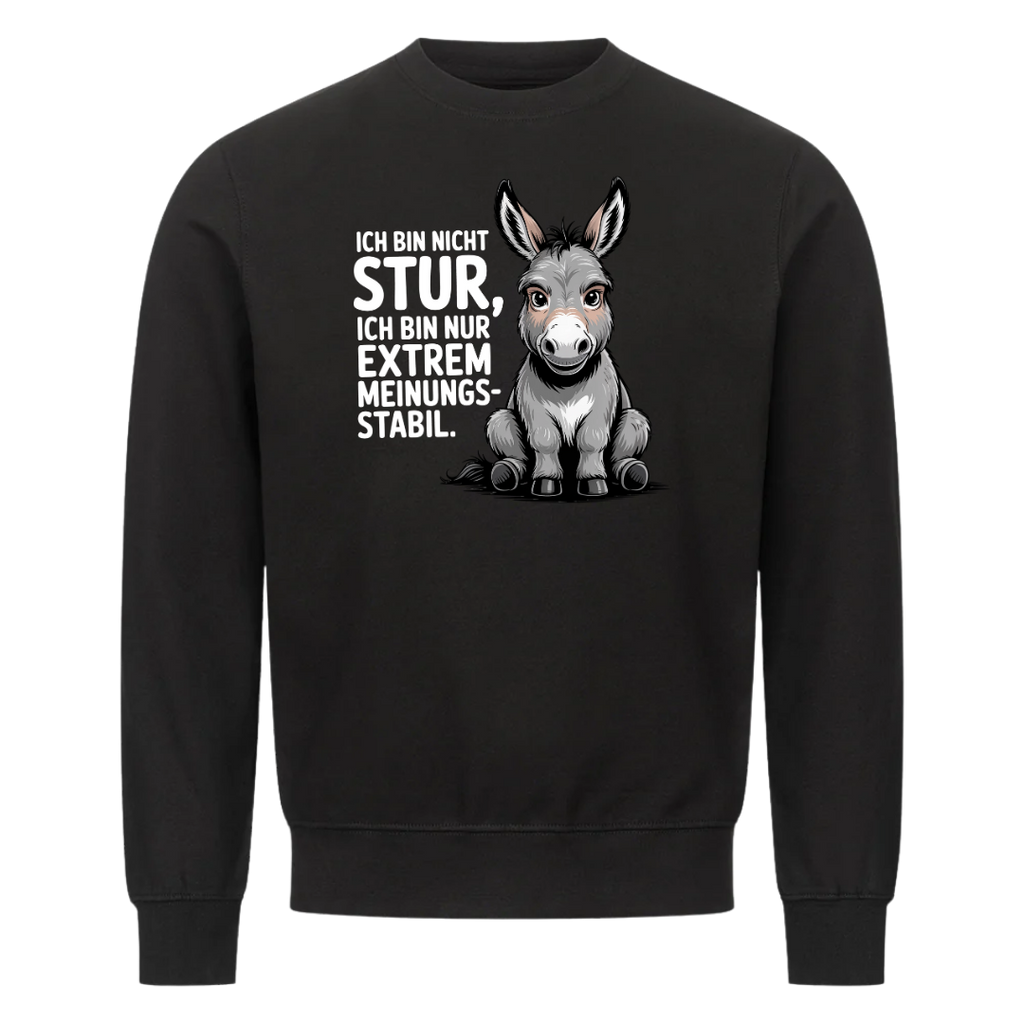 Lustiges Sweatshirt mit Spruch Sturer Esel, Vorderansicht