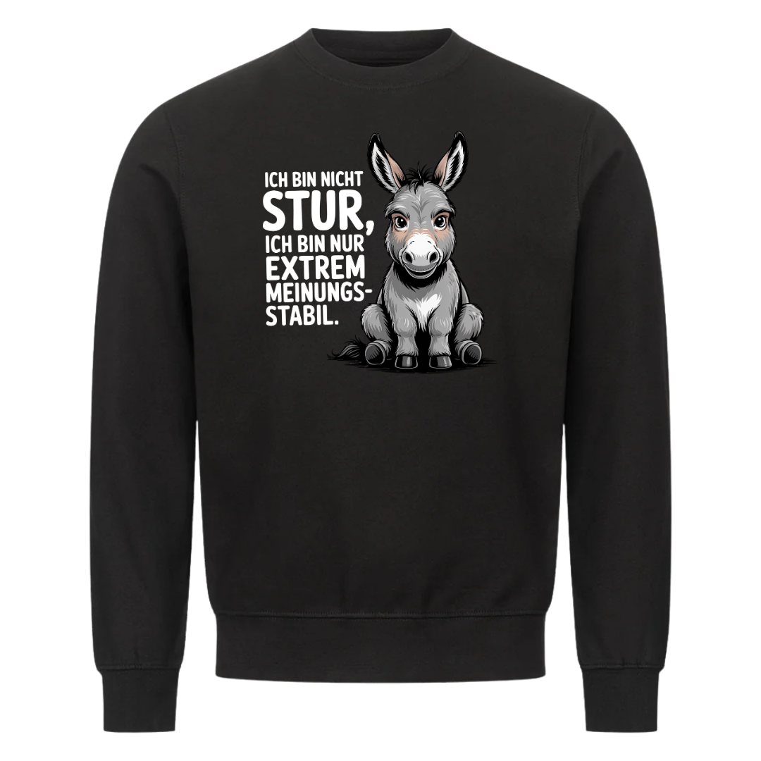 Lustiges Sweatshirt mit Spruch Sturer Esel, Vorderansicht