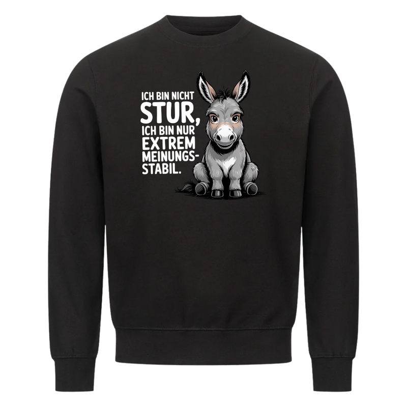 Lustiges Sweatshirt mit Spruch Sturer Esel, Vorderansicht