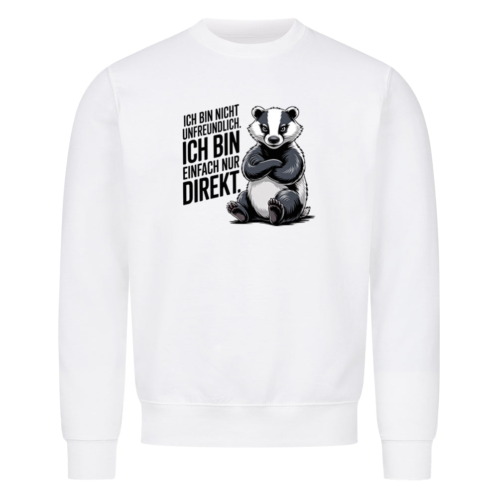 Sweatshirt Ich Bin Nicht Unfreundlich, getragen