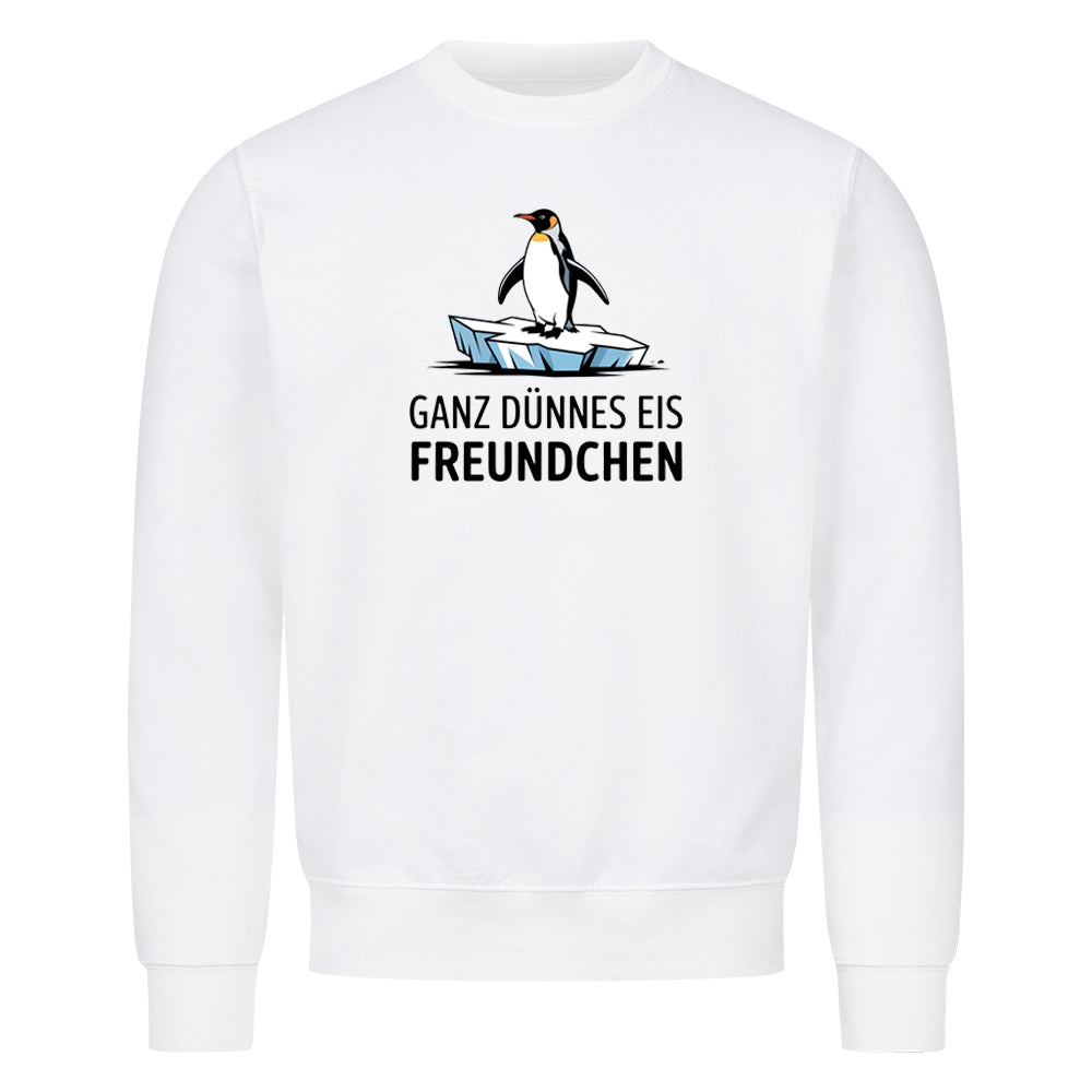 Sweatshirt Dünnes Eis Freundchen, getragen