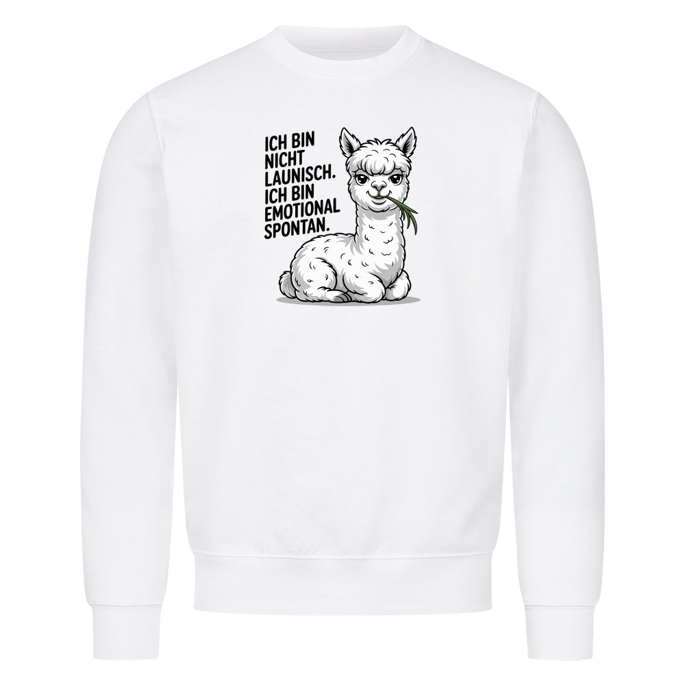 Sweatshirt Emotional Spontan, getragen