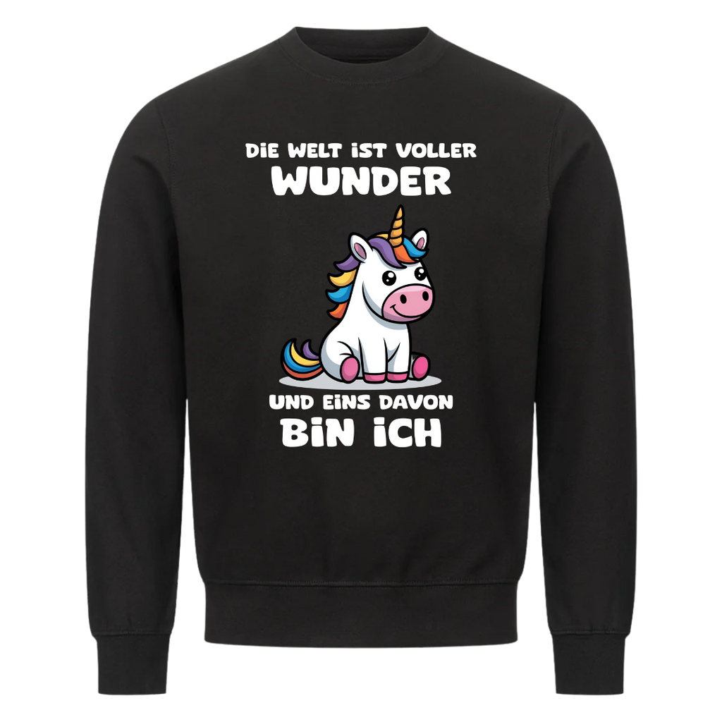 Lustiges Sweatshirt mit Spruch Die Welt ist voller Wunder, Vorderansicht