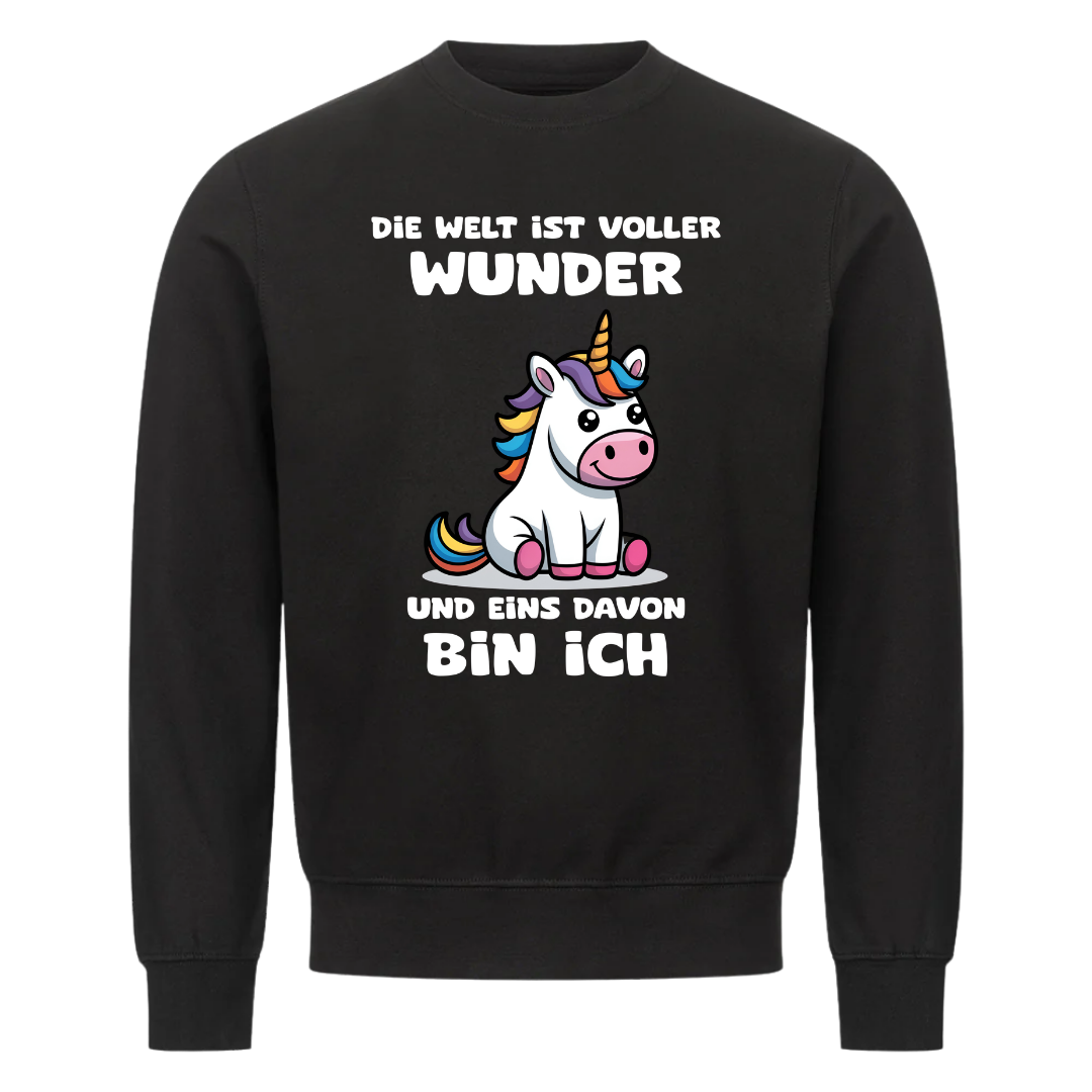 Lustiges Sweatshirt mit Spruch Die Welt ist voller Wunder, Vorderansicht