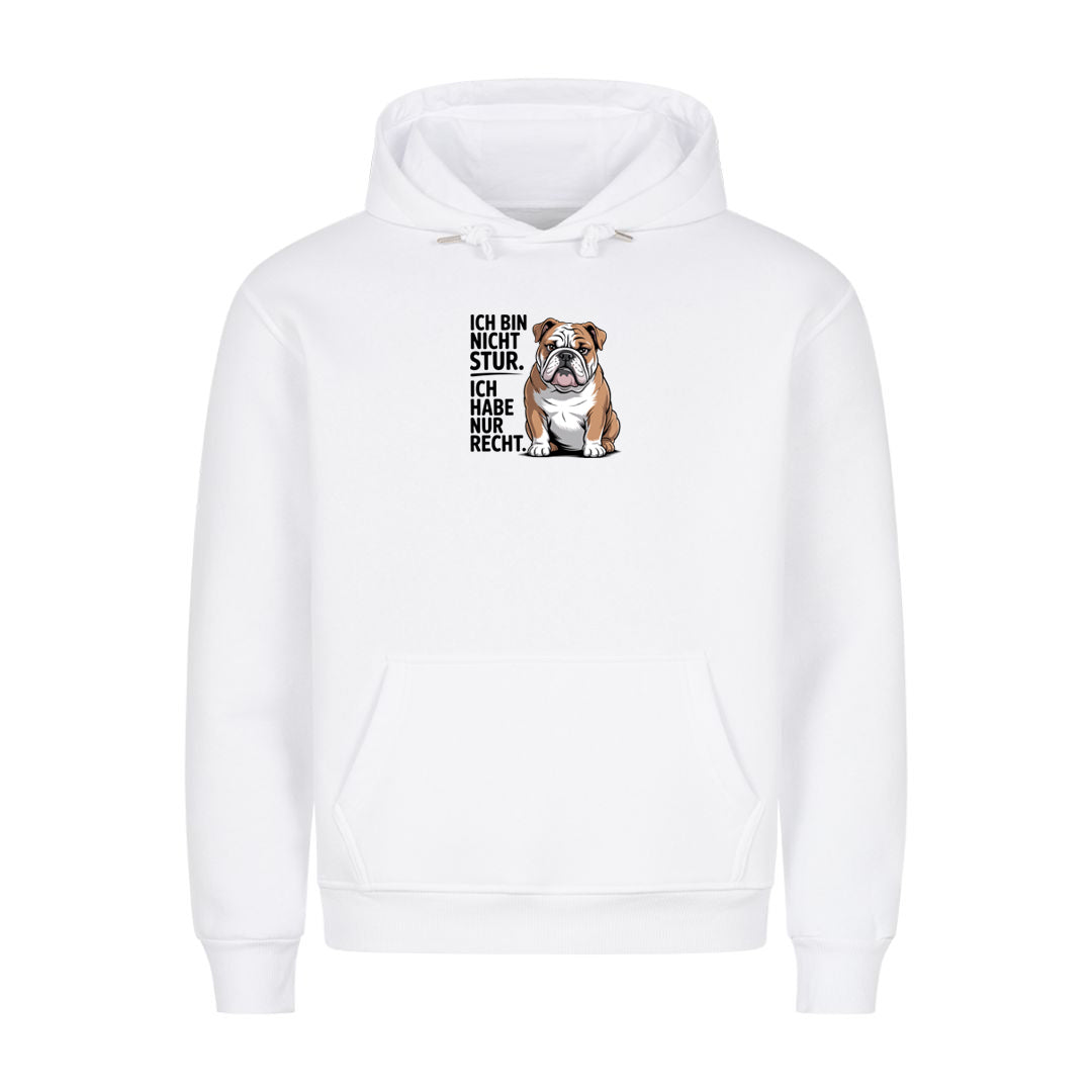 Hoodie Ich Bin Nicht Stur, Motivansicht