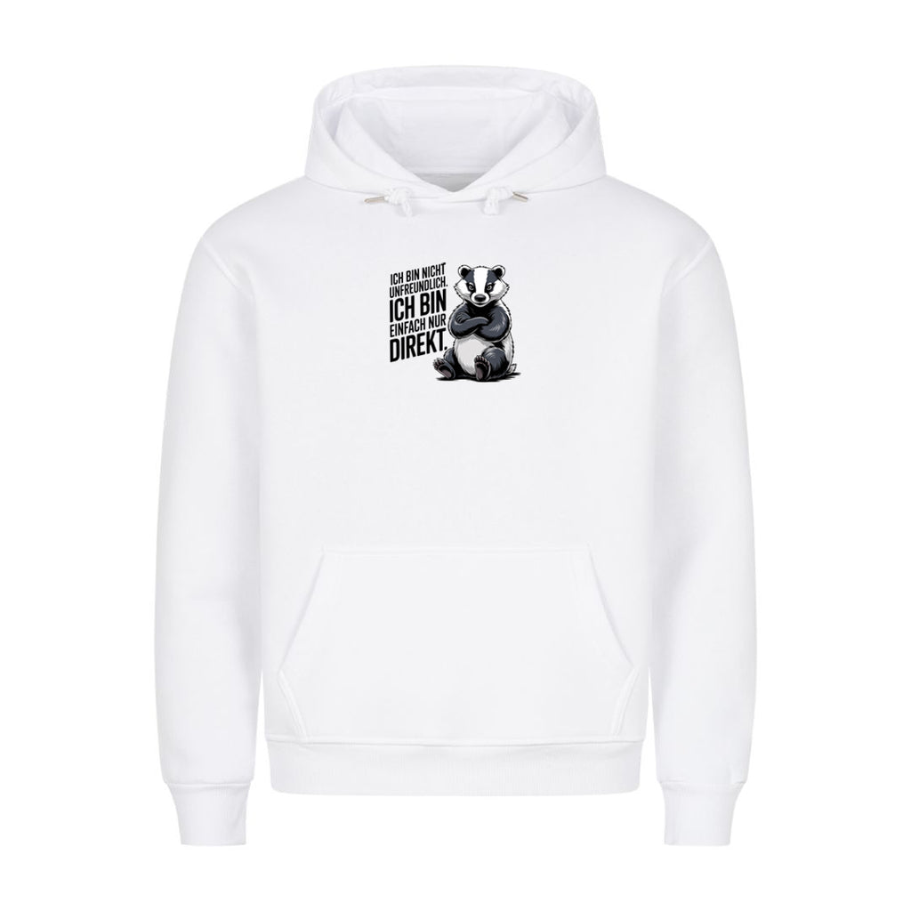 Hoodie Ich Bin Nicht Unfreundlich, Motivansicht