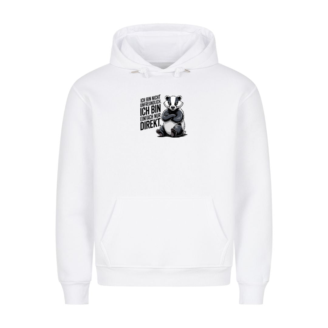 Hoodie Ich Bin Nicht Unfreundlich, Motivansicht
