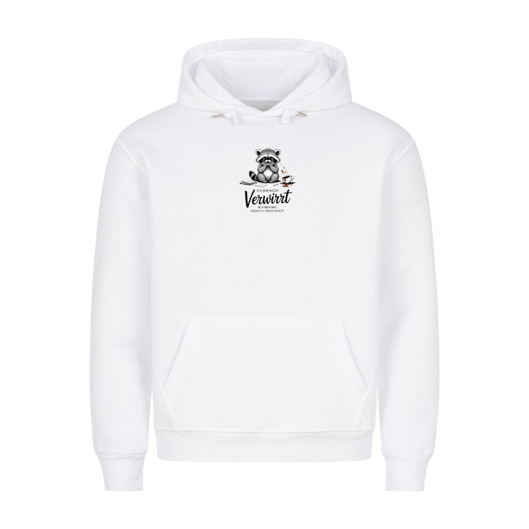 Hoodie Verwirrt, Motivansicht