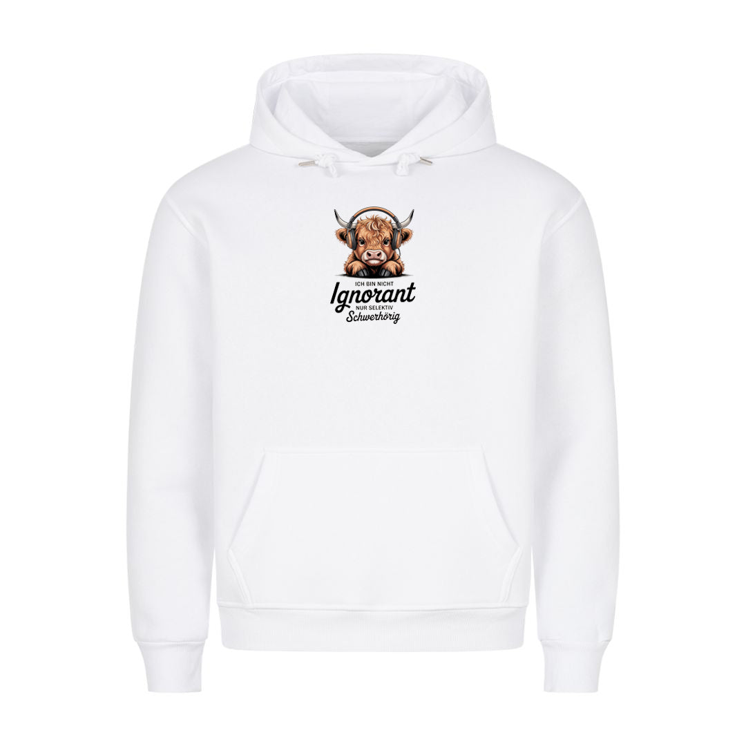 Hoodie Ignorant, Motivansicht
