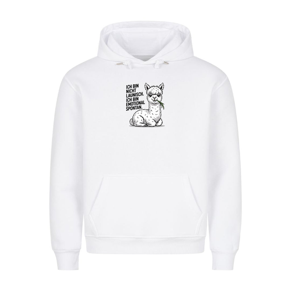 Hoodie Emotional Spontan, Motivansicht