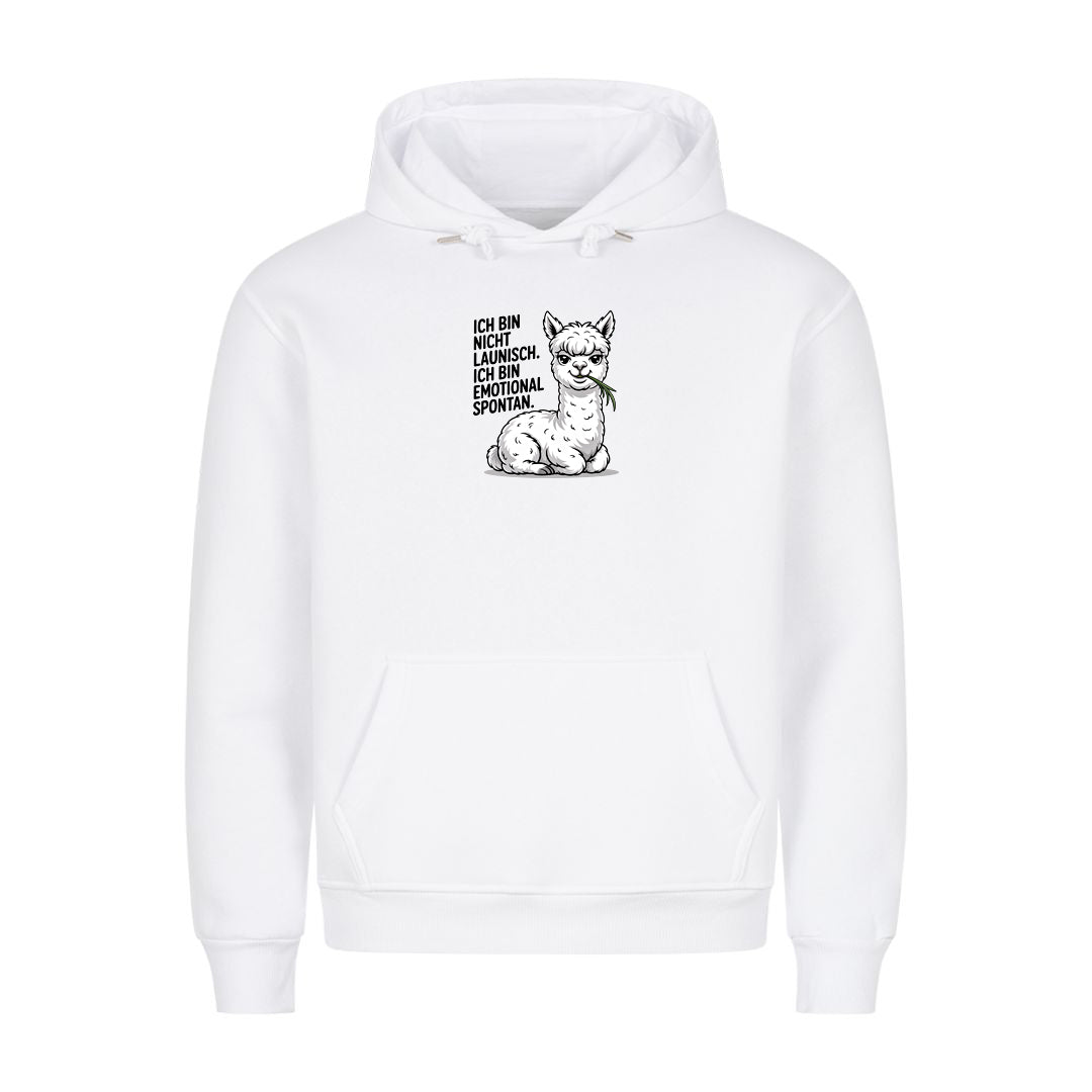 Hoodie Emotional Spontan, Motivansicht