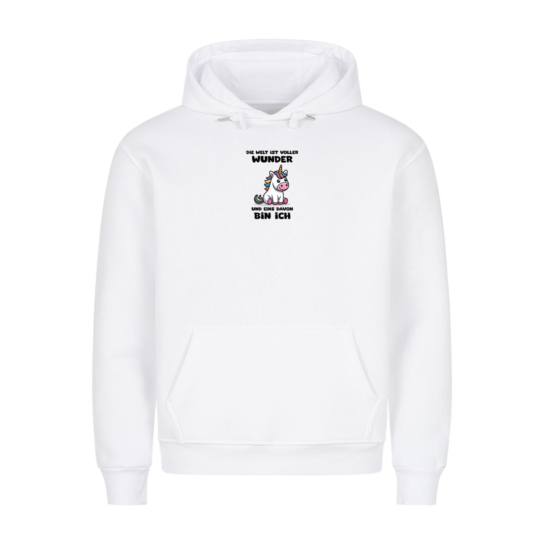 Hoodie Die Welt ist voller Wunder, Motivansicht