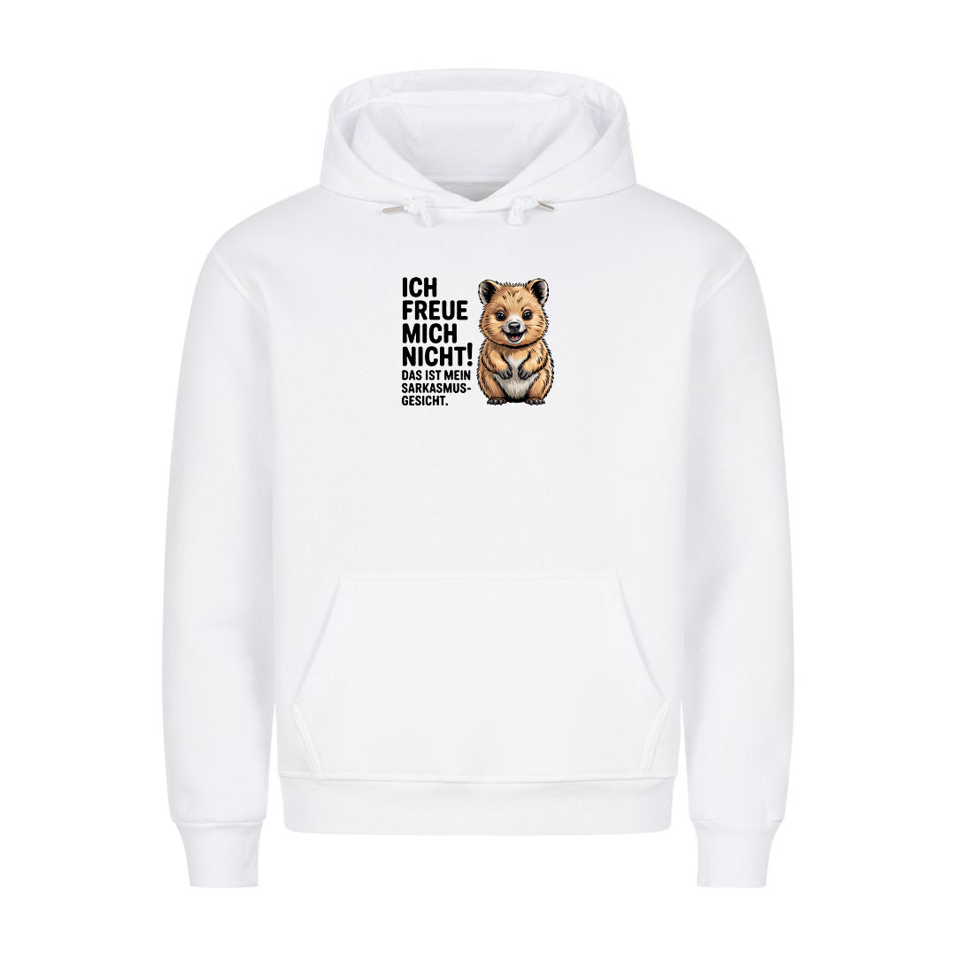 Hoodie Sarkasmus Gesicht, Motivansicht
