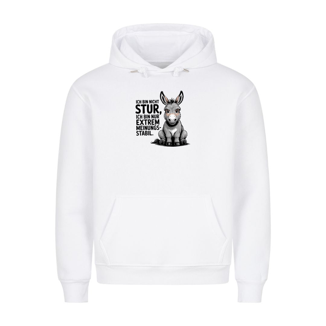 Hoodie Sturer Esel, Motivansicht