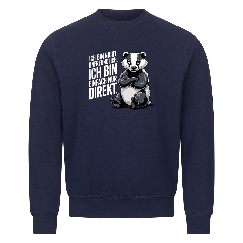 Sweatshirt Ich Bin Nicht Unfreundlich, Seitenansicht