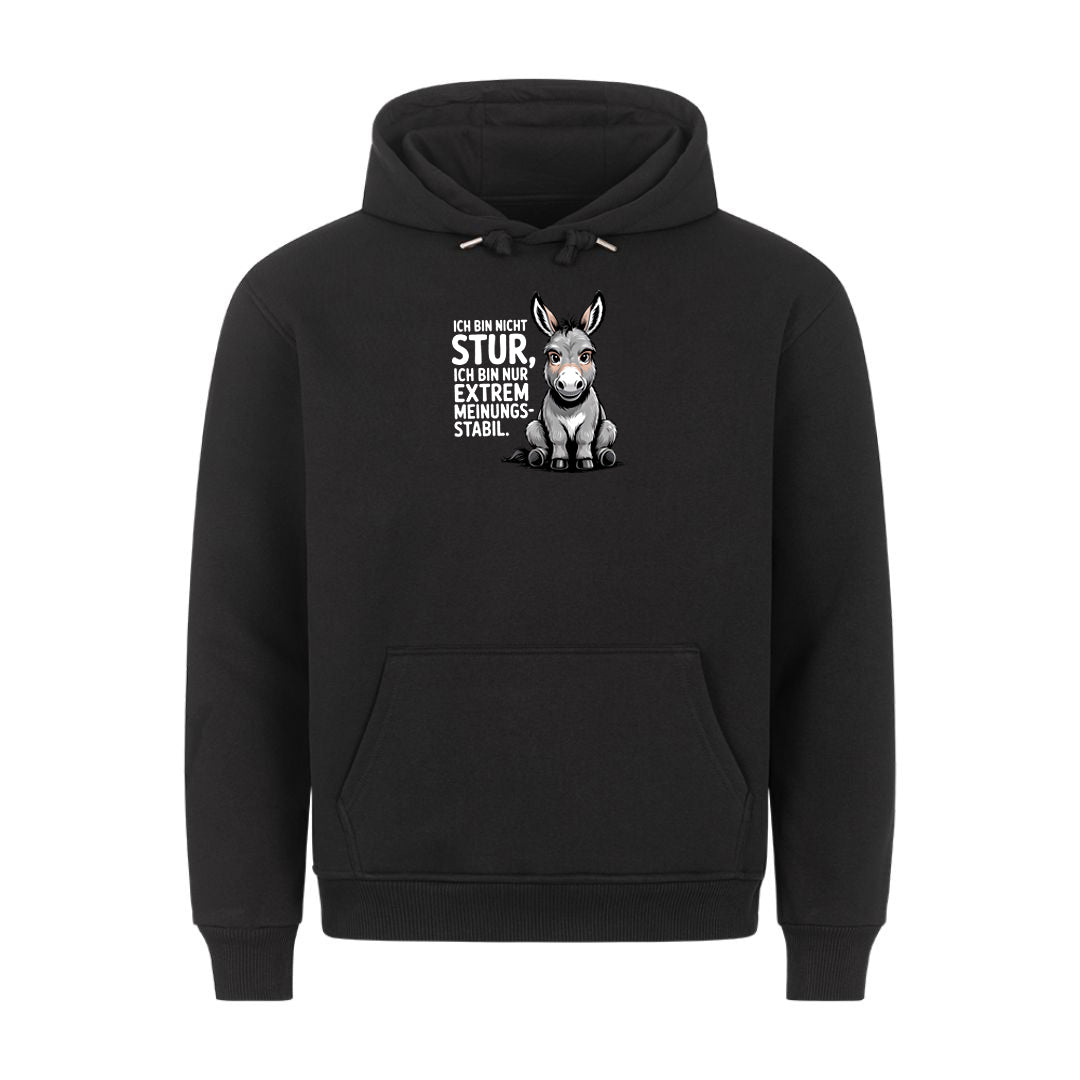 Lustiger Hoodie mit Spruch Sturer Esel, Vorderansicht