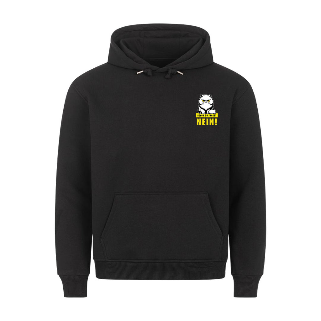 Bevor du fragst Hoodie