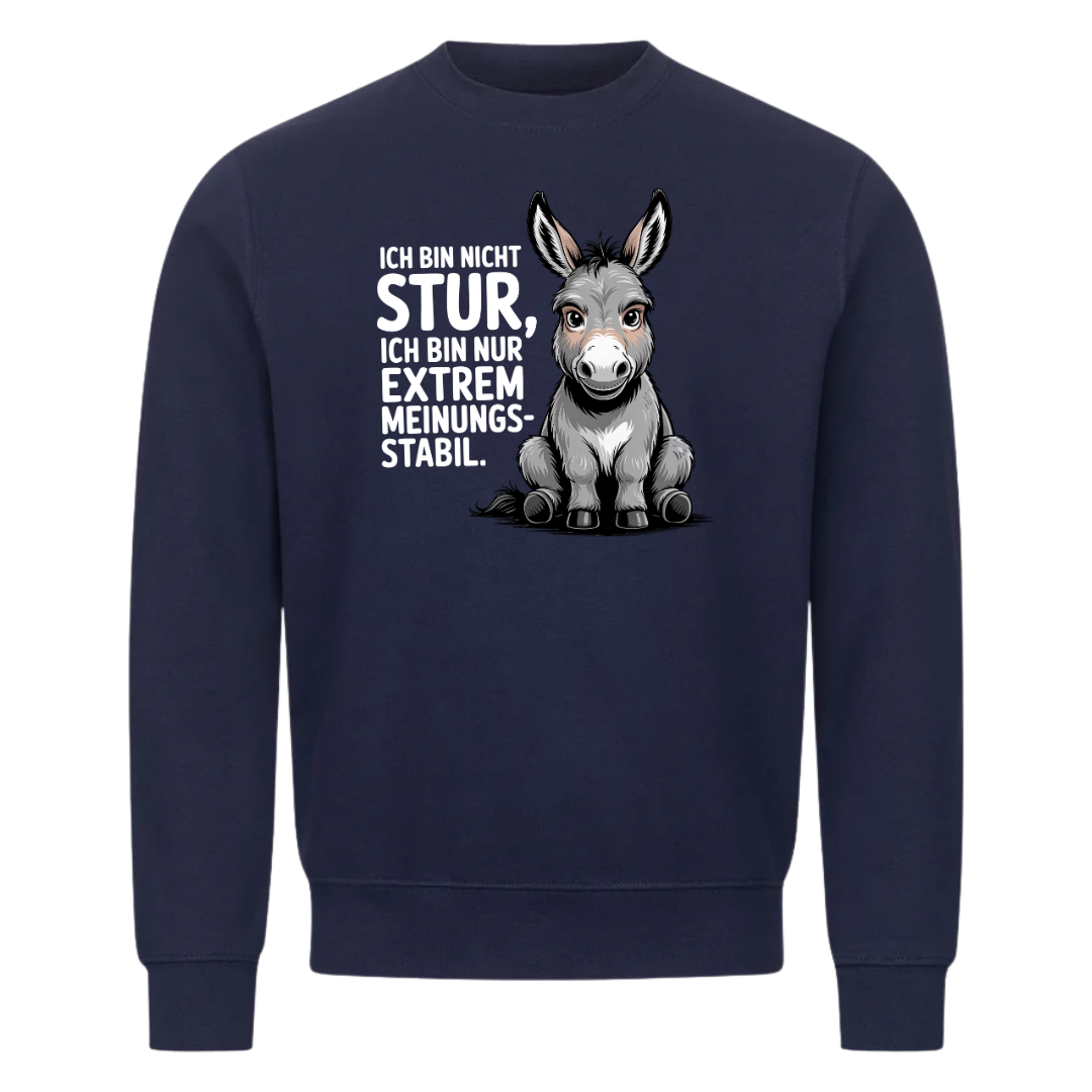Sweatshirt Sturer Esel, getragen