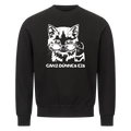 Lustiges Sweatshirt mit Spruch Dünnes Eis Katze, Vorderansicht