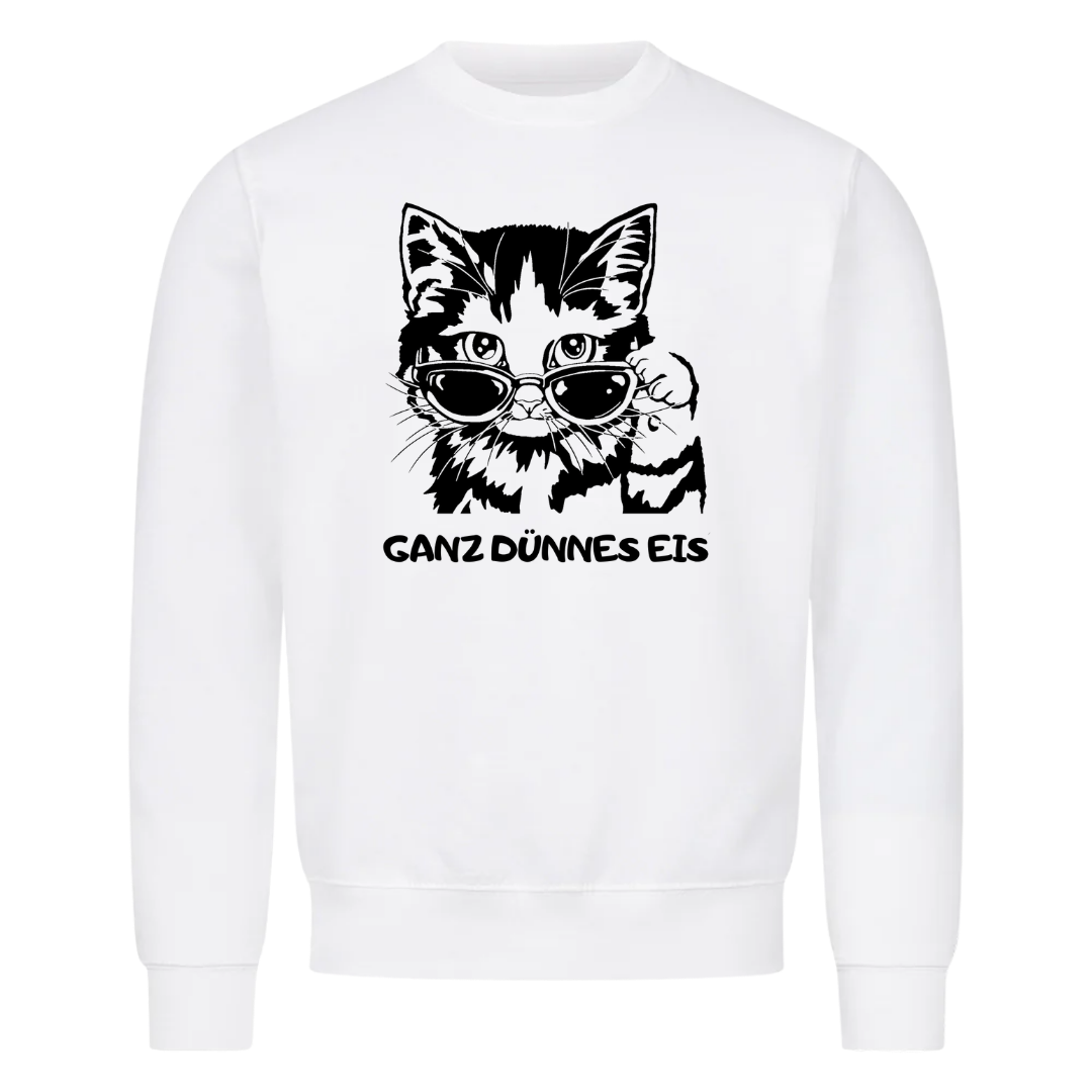 Sweatshirt Dünnes Eis Katze, getragen