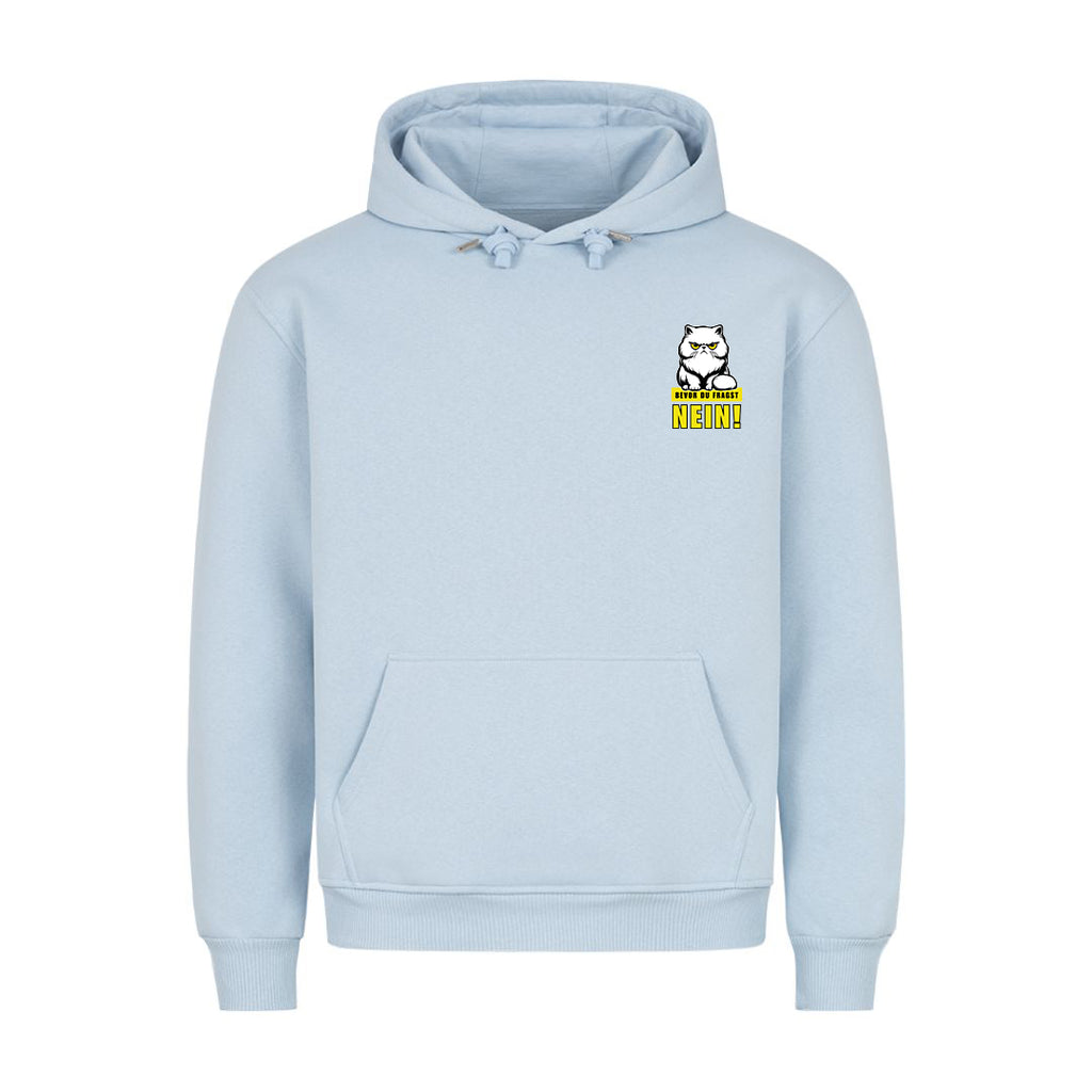 Bevor du fragst Hoodie