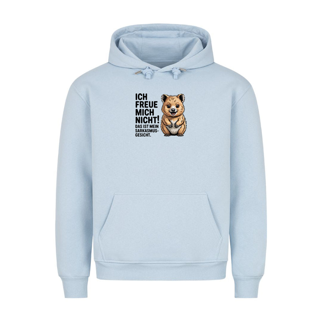 Hoodie Sarkasmus Gesicht, Detailansicht