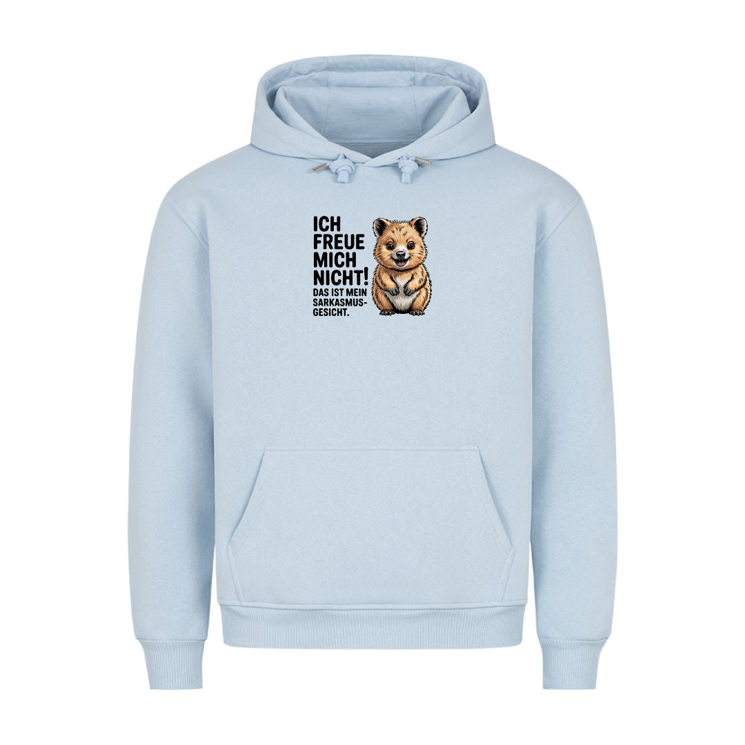 Hoodie Sarkasmus Gesicht, Detailansicht
