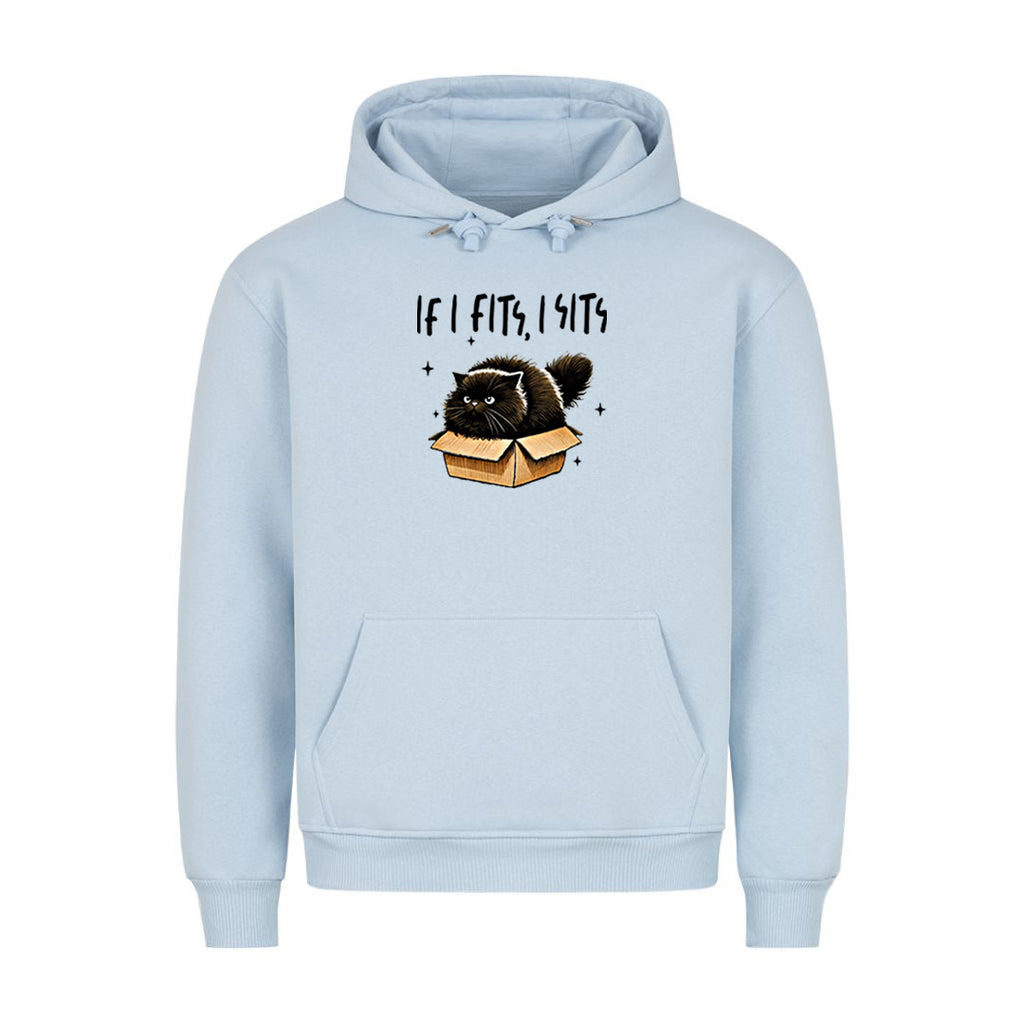 If I Fits  Hoodie