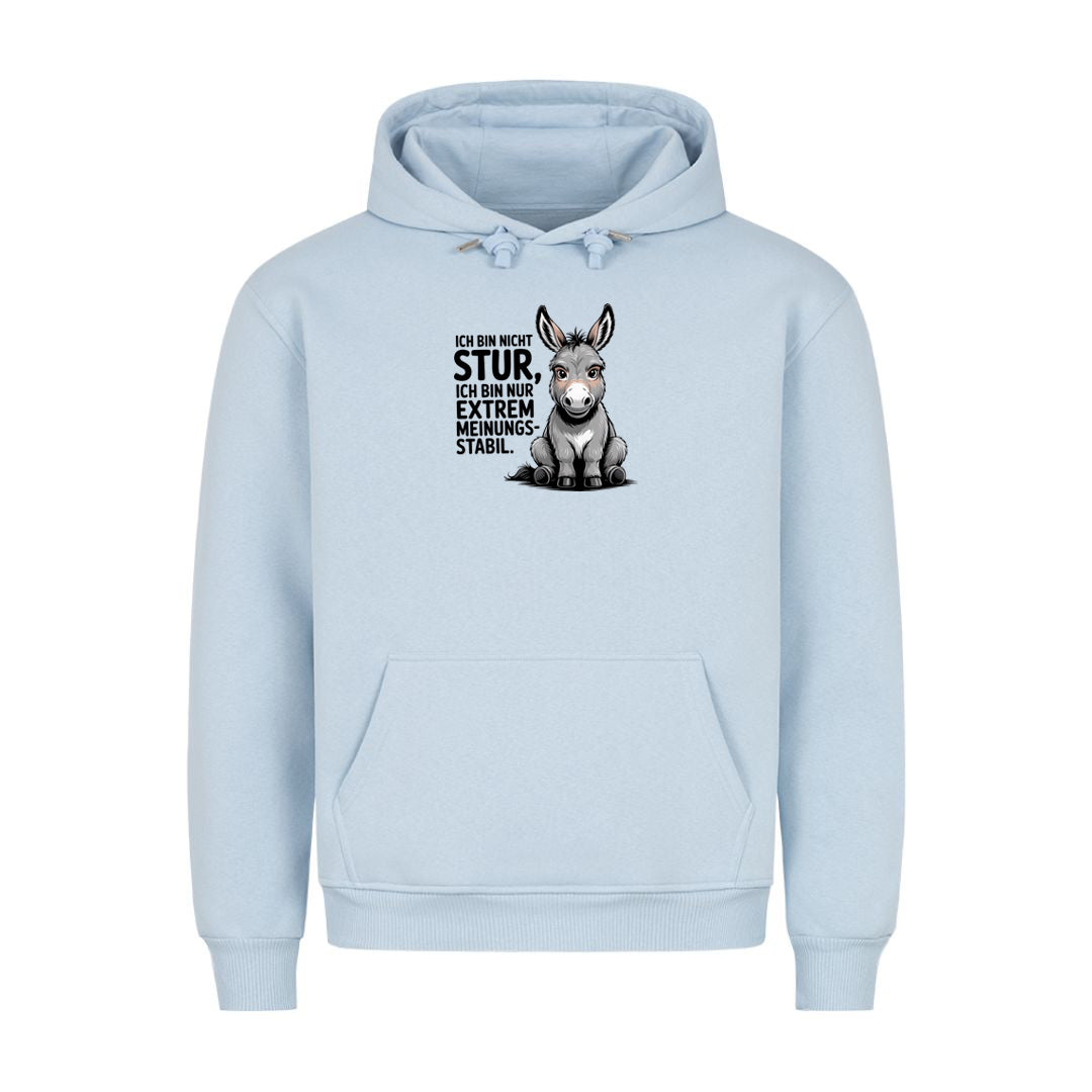 Hoodie Sturer Esel, Detailansicht
