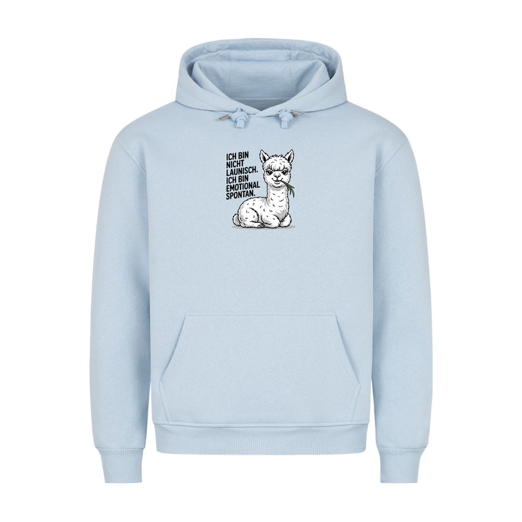 Hoodie Emotional Spontan, Detailansicht
