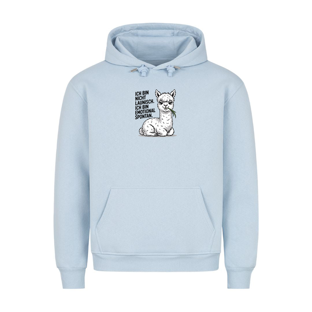 Hoodie Emotional Spontan, Detailansicht