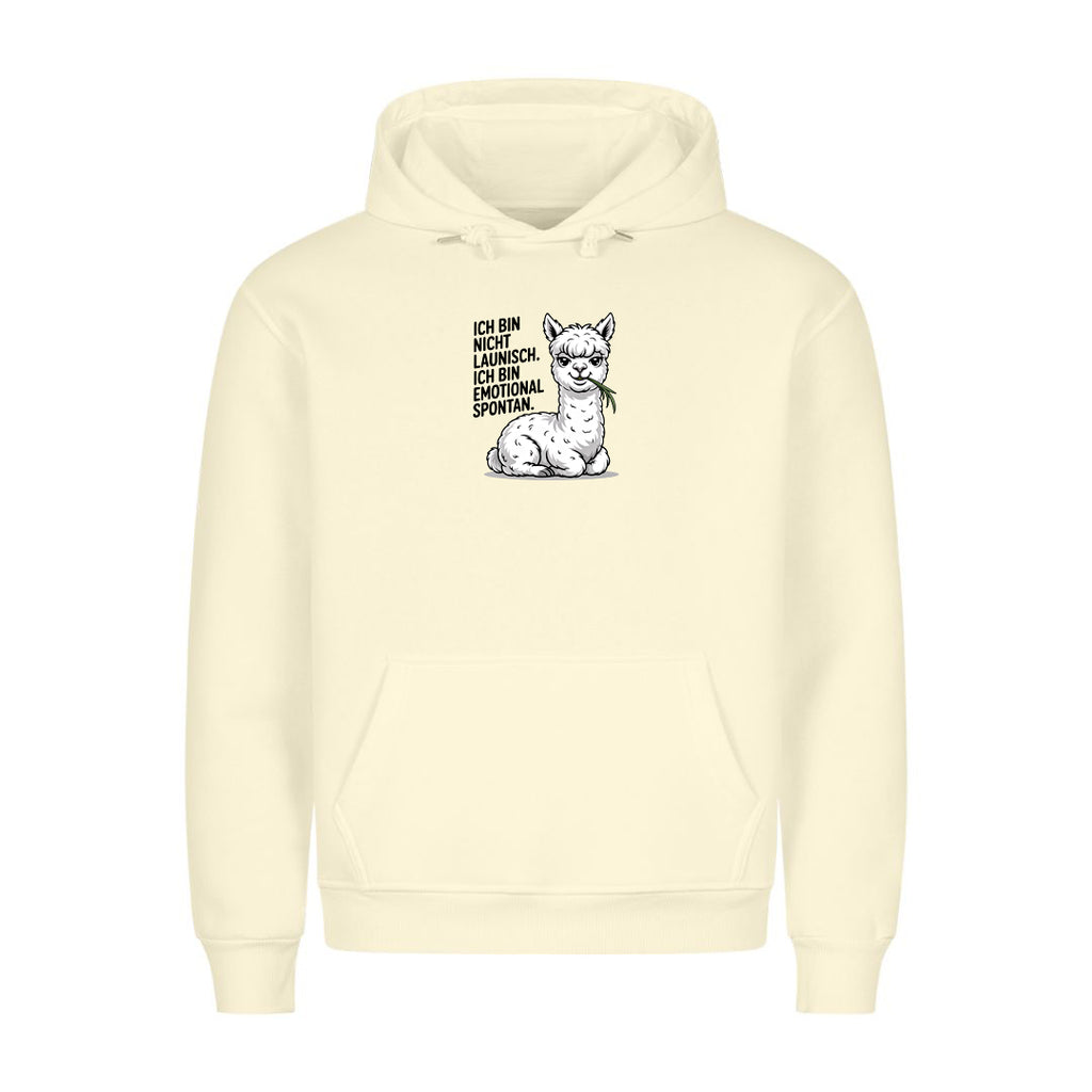 Hoodie Emotional Spontan, getragen