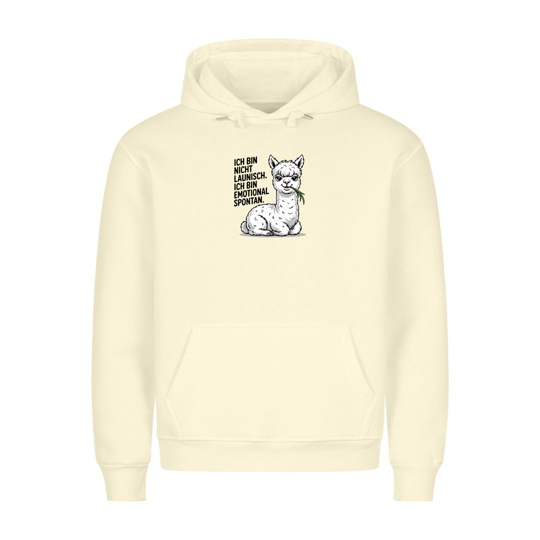 Hoodie Emotional Spontan, getragen