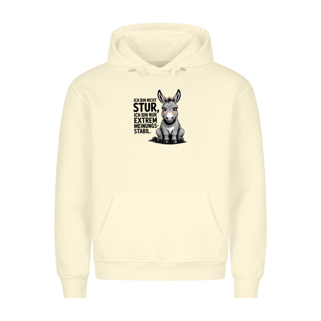Hoodie Sturer Esel, getragen