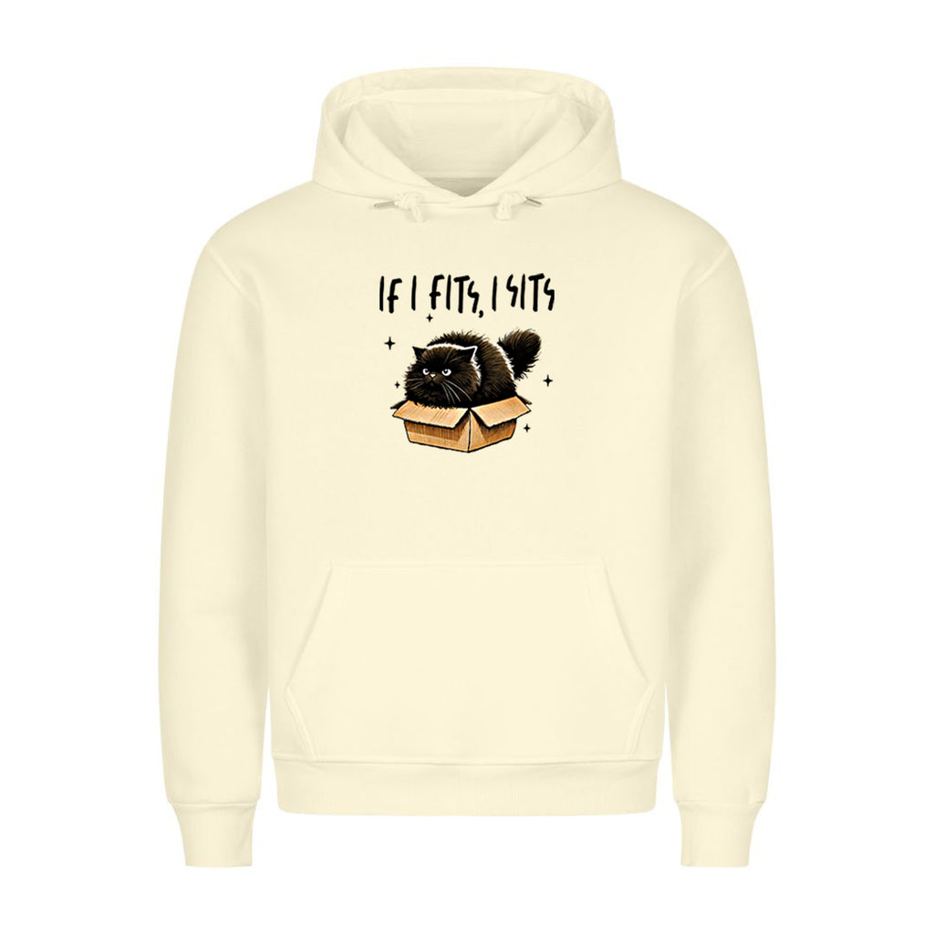 If I Fits  Hoodie