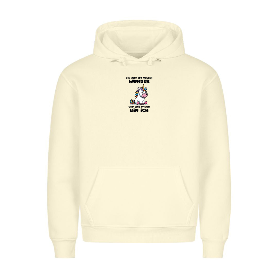 Hoodie Die Welt ist voller Wunder, getragen