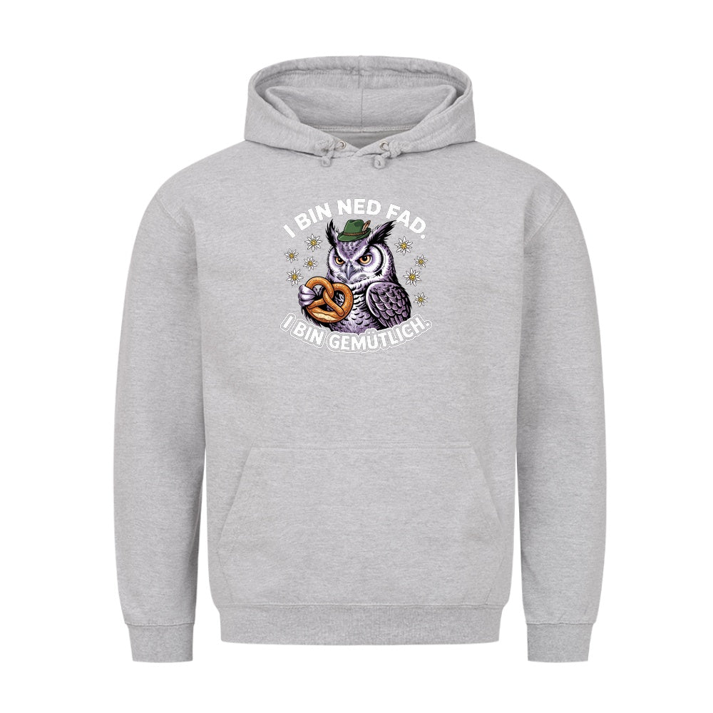 I bin ned fad Wiesn Hoodie in Grau